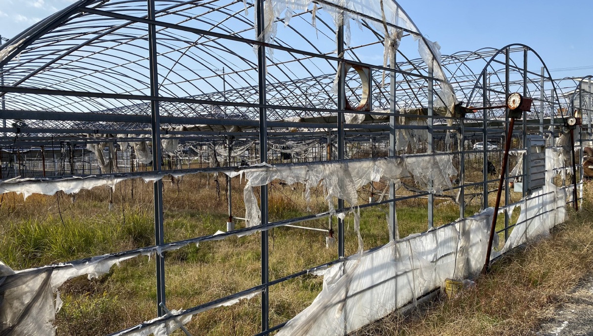 ビニールハウス解体.com
